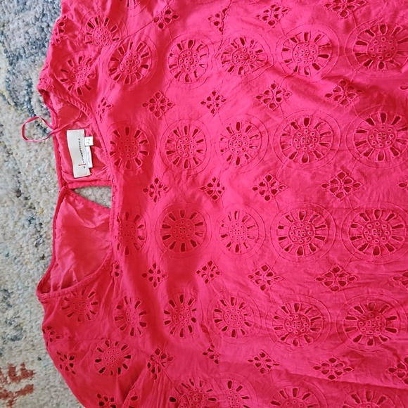 Anthropology Dani Tunic Eyelet Dress Size 14- PINK - Picture 4 of 4